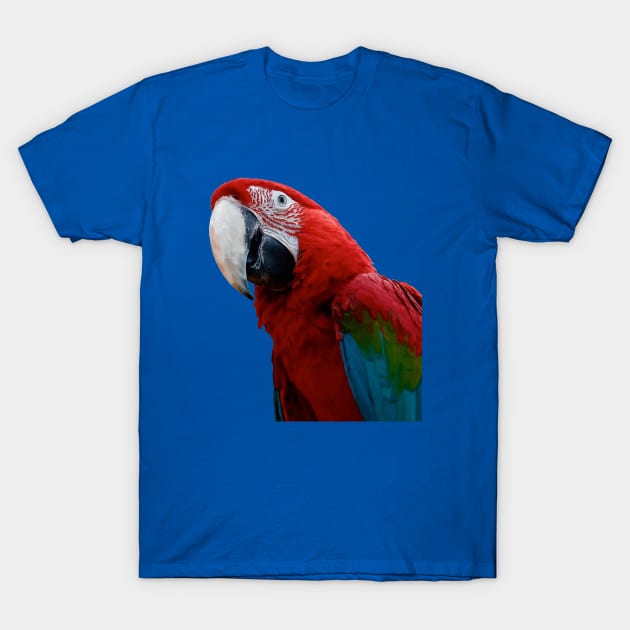 Close-Up Of A Green Winged Macaw Parrot T-Shirt by taiche